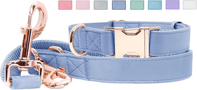 Soft Leather Dog Collar and Leash (6.6') Set - Stylish Rose Gold Heavy Duty Metal Buckle, 4 Adjustable Lengths Leash for Small Medium Large Dogs - Comfortable & Easy to Clean BluePurple S(12.2"-16.9")