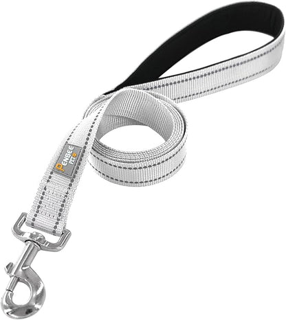 Dog Leash 6 FT Padded Handle Nylon Reflective Dogs Leashes for Small Dogs Silver