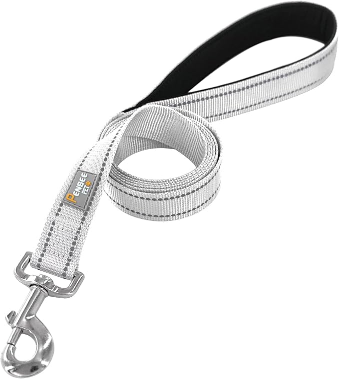 Dog Leash 6 FT Padded Handle Nylon Reflective Dogs Leashes for Medium Dogs Silver