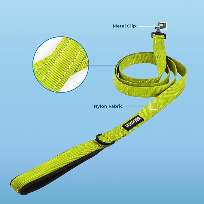 Best Pet Supplies Voyager Reflective Dog Leash or Collar with Neoprene Handle, for Small, Medium, and Large Breed Puppies, Cute and Heavy Duty for Walking, Running and Training - Lime Green (Leash), S