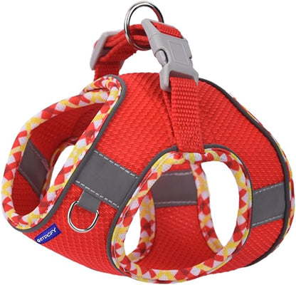 Step in Mesh Dog Harness and Leash Set - Breathable Air Mesh Reflective Escape Proof Dog Harness Vest - No Choke, Lightweight