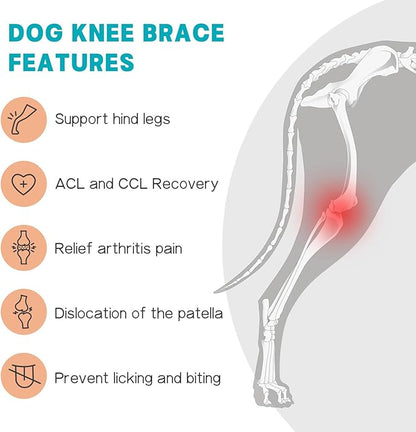 Dog Knee Brace for Torn ACL Hind Leg–Adjustable Support Dog Leg Brace for Back Leg with 2 Stabilizers, Hip Support to Reduces Pain Luxating Patella , Ligament Injuries, CCL (Blue, Left Leg, 2XL)