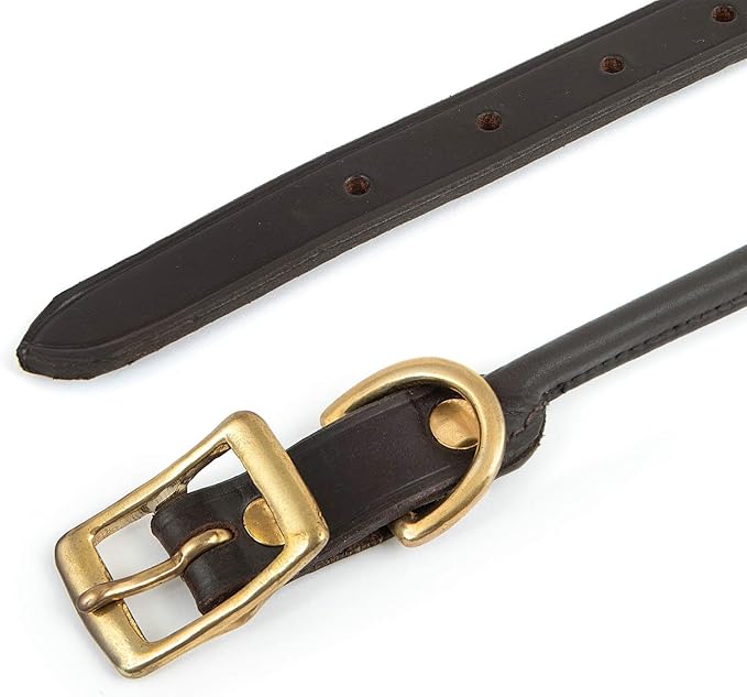 Jeffers Rolled Leather Dog Collar with Brass Hardware, Chestnut Brown - Safe Leather Design, Durable Brass Hardware, Adjustable Round Collar for Long Fur Dogs, Pairs with Leash, 3/4" W x 17" L