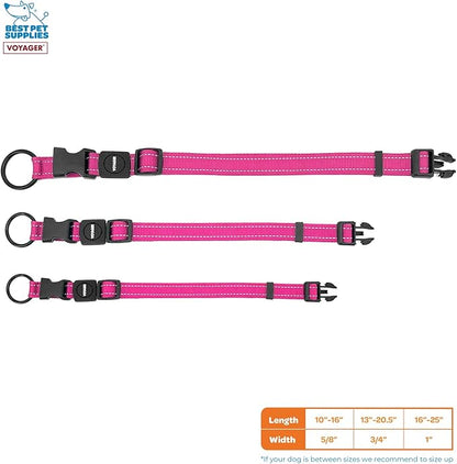 Best Pet Supplies Voyager Reflective Dog Leash or Collar with Neoprene Handle, for Small, Medium, and Large Breed Puppies, Cute and Heavy Duty for Walking, Running and Training - Fuchsia, L