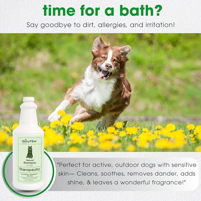 Shiny Paw Dog Shampoo Itchy Skin Relief | Hypoallergenic Dog Wash | Eucalyptus, Chamomile & Aloe Vera | Dog Shampoo Sensitive Skin & Smelly Dogs | (32 oz, Eucalyptus, Chamomile & Aloe Vera)