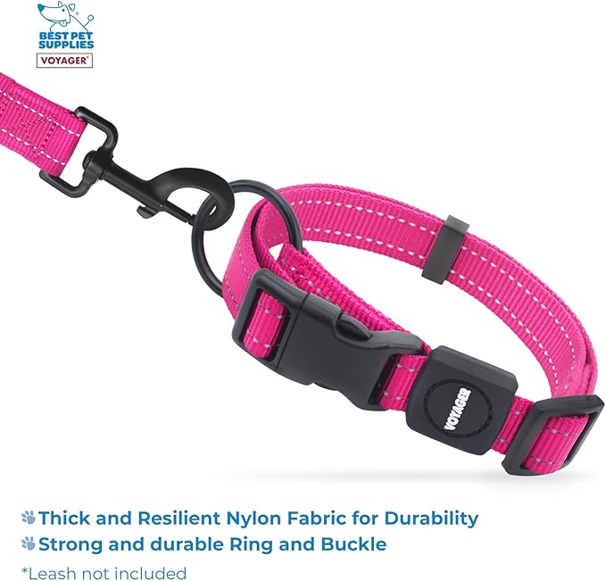 Best Pet Supplies Voyager Reflective Dog Leash or Collar with Neoprene Handle, for Small, Medium, and Large Breed Puppies, Cute and Heavy Duty for Walking, Running and Training - Fuchsia, L