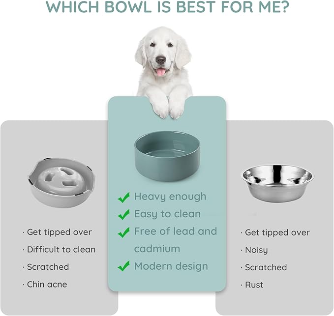SPUNKYJUNKY 28.7OZ Ceramic Dog and Cat Bowl, Modern Cute Weighted Food Water Bowl for Replacement Light Green (2 Pack)