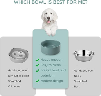 SPUNKYJUNKY 60 OZ Ceramic Dog and Cat Bowl, Modern Cute Weighted Food Water Bowl for Replacement Light Green (1 Pack)