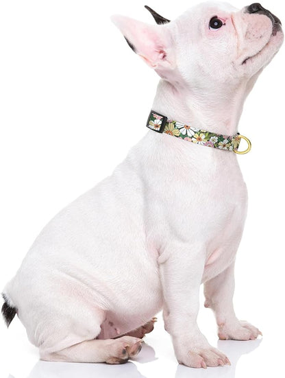 Rnivvi Dog Collar for Small Dogs, Floral Heavy Duty Adjustable Puppy Collar with Quick Release Buckle for Girl & Female, Pet Accessories for Walking Running, S Length 3/4" Width, Abstract Flowers