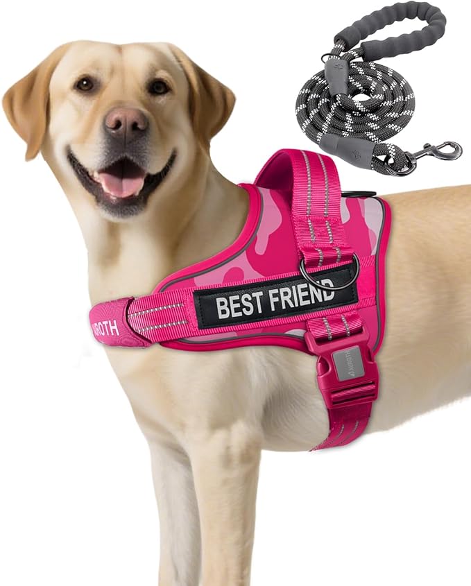 AUROTH Dog Harness and Leash Set, Soft Padded No Pull Dog Harness with 5.25FT Dog Leash, No Choke, Easy On Pet Vest, Adjustable Reflective Dog Vest Small Sized Dog, Easy Walking and Training