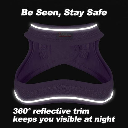 Dog Harness and Leash Set,Step in Small Sized Dog Harness,Soft Mesh,No-Chock,Reflective Adjustable,Secure with Hook & Loop Fastener,Puppy Vest for Small,Medium Dogs(Violet Purple,L)