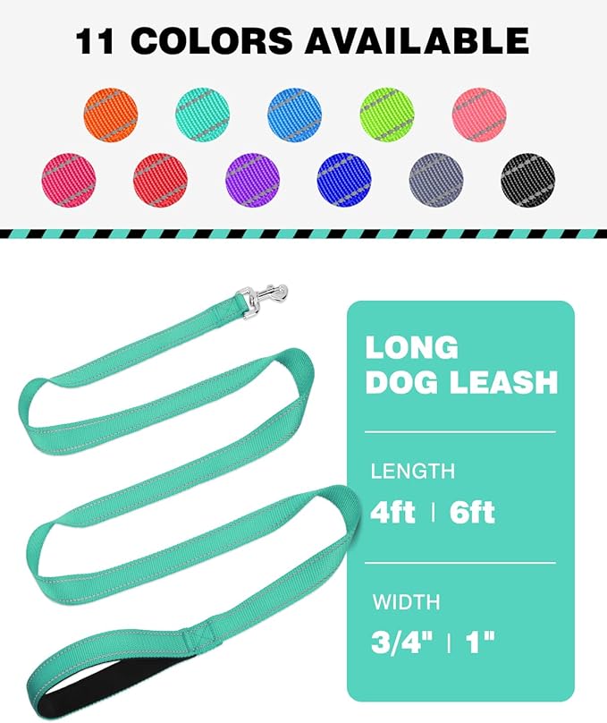 6FT Reflective Nylon Dog Leash with Soft Padded Handle for Walking, Running and Training, Supports Small Medium and Large Dogs (Turquoise, 1 Inch Wide)