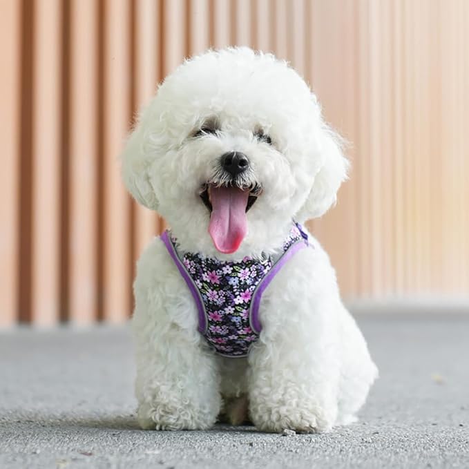 Step in Dog Harness and Leash Set, Flower Adjustable Easy Walk Puppy Harnesses, Soft Mesh Pet Vest Harness Small Size Dog Adjustable No Pull Dog Harness for Small Dogs and Cats(Purple, XS)