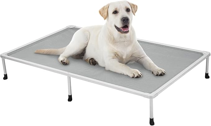 Veehoo Chewproof Elevated Dog Bed - Cooling Raised Pet Cot, Breathable Mesh, Washable & Non-Slip for Large Dogs, Indoor/Outdoor, Grey Mat and Silver Metal Frame, 59x37inches (Model CWC2203B03)