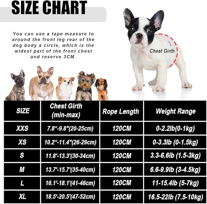 FEimaX Dog Harness and Leash Set for Walking, Soft Mesh Adjustable Easy Control Lightweight Cat Vest Harnesses with Reflective Strips, Escape Proof Small Dogs Cats Vests (Blue, Large)