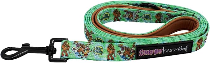 Sassy Woof Scooby-Doo™ Dog Leash 60-Inch with Neoprene Padded Handle - Comfortable, Durable, and Stylish for Small to Large Dogs - Officially Licensed