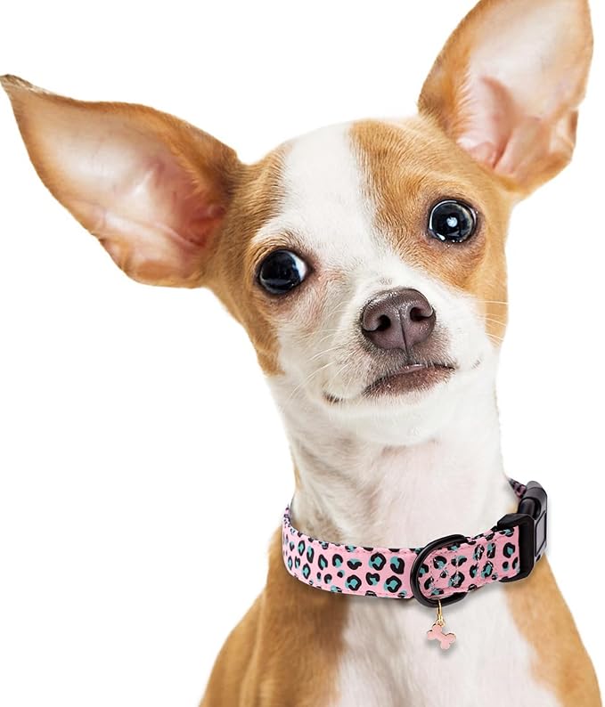 Faygarsle Dog Collar for Small Medium Large Dogs Cute Pink Puppy Collars for Female Dogs Leopard Print Patterned Pet Collars for Summer Spring Wedding Puppy Girl Dog Collar M