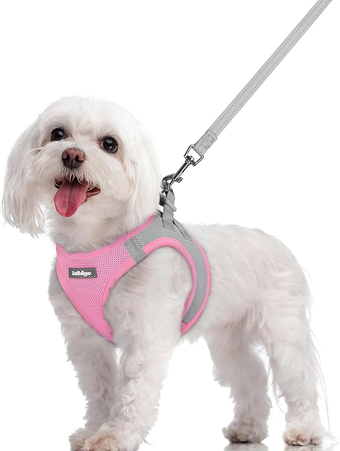 rabbitgoo Dog Harness Small Sized and Leash Set, Step in Soft Light Puppy Vest, Breathable Mesh Pet Harness, Reflective for Safe Easy Walking, Pink & Gray M