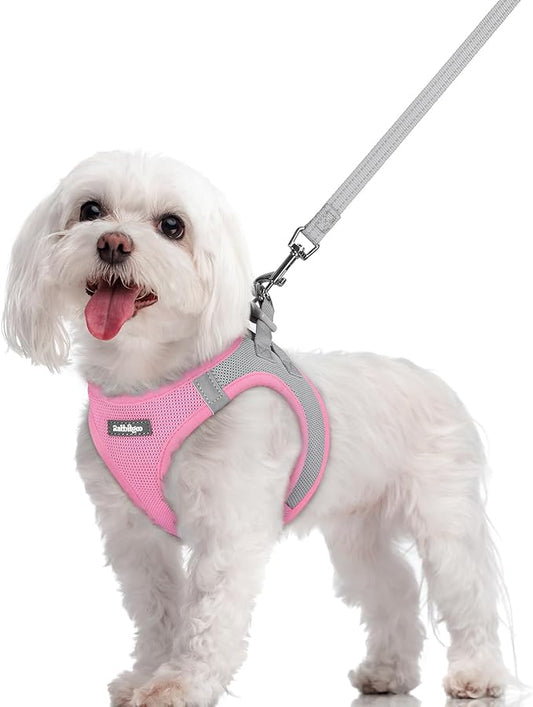 rabbitgoo Dog Harness Small Sized and Leash Set, Step in Soft Light Puppy Vest, Breathable Mesh Pet Harness, Reflective for Safe Easy Walking, Pink & Gray M