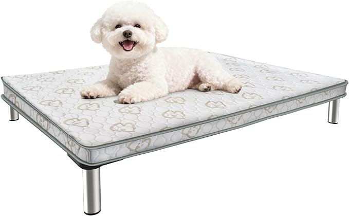 FXW TitanNest Chew-Proof Elevated Dog Bed, Raised Cot for Indoor/Outdoor/Camping Use, Durable & Washable Padded Pet Bed with Exclusive Cover for Extra-Small Dogs, 29.0" L x 18.0" W x 4.5" H, Gray