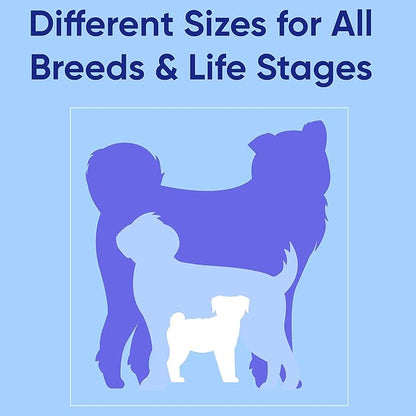 Pawtitas Reflective Dog Collar Adjustable Dog Collars for Small Dogs Puppy Collar Extra Small Dog Collar Green Dog Collar