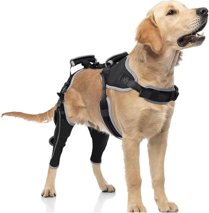 Dog Knee Brace for ACL/CCL Injuries,Torn Ligament,Luxating Patella - Rear Leg Support,Pain Relief,Joint Warmth,Black,Upgraded,Both Legs,Size:L