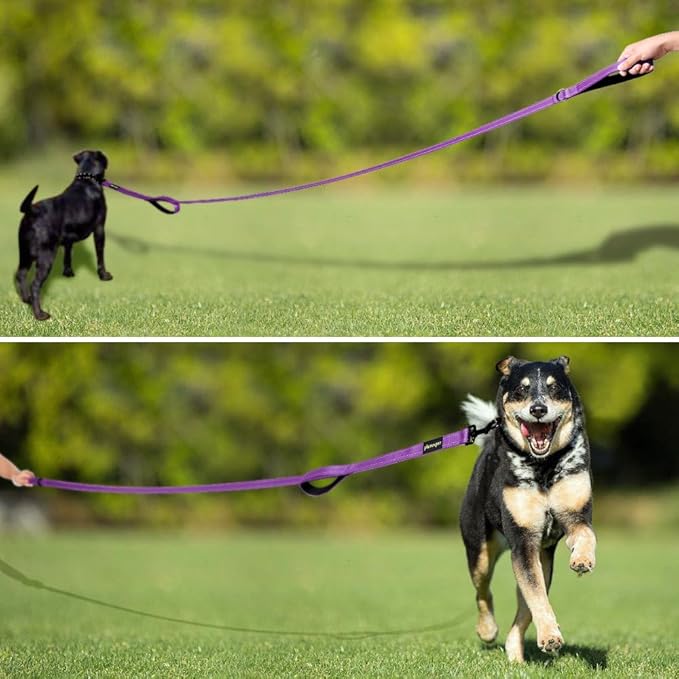 Plutus Pet Dog Leash 6ft Long, Traffic Padded Two Handle, Heavy Duty, Reflective Double Handles Lead for Control Safety Training, Leashes for Large Dogs or Medium Dogs, Dual Handles Leads (Purple)