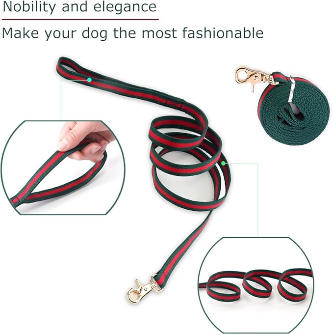 Premium Dog Collar, Cute Dog Collars Luxury Style, Durable Pet Collars and Dog Leash with Metal Buckle Safety for Medium Dogs