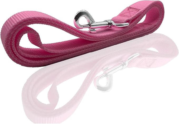 Nylon Dog Leash 8 Feet Long, Walking Training Dog Leashes for Medium Large Dogs