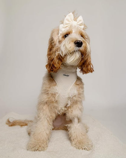 Medium Dog Harness Set – Cute No Pull, All Weather, Breathable Harness and Leash Set with Collar, Bandana, Sailor Bow & Poop Bag Holder – Adjustable, Soft & Stylish - Cream Hearts on Jacquard Fabric