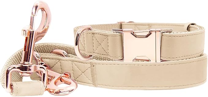 Soft Leather Dog Collar and Leash (6.6') Set - Stylish Rose Gold Heavy Duty Metal Buckle, 4 Adjustable Lengths Leash for Small Medium Large Dogs - Comfortable & Easy to Clean Beige S(12.2"-16.9")