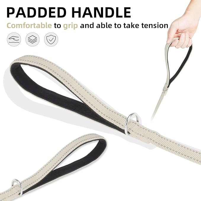 PUPTECK Reflective Dog Leash with Comfortable Padded Handle Durable Nylon Dog Lead for Small Medium and Large Dogs Cats Walking Running Training Outside, Beige