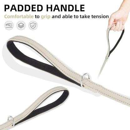 PUPTECK Reflective Dog Leash with Comfortable Padded Handle Durable Nylon Dog Lead for Small Medium and Large Dogs Cats Walking Running Training Outside, Beige