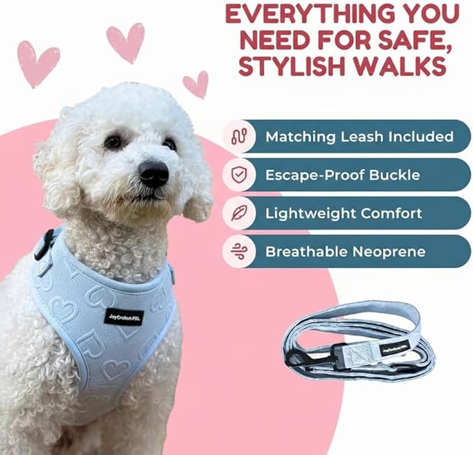 No-Pull, No-Choke Dog Harness & Leash Set – Stylish & Fun – Lightweight, Breathable Neoprene – Unique Heart Pattern – Adjustable for Extra Small to Medium Dogs (Harness Leash Set-Blue, X-Small)