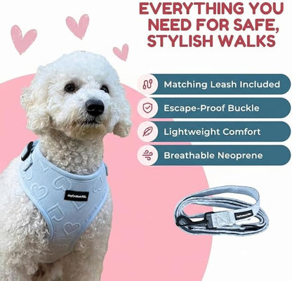 No-Pull, No-Choke Dog Harness & Leash Set – Stylish & Fun – Lightweight, Breathable Neoprene – Unique Heart Pattern – Adjustable for Extra Small to Medium Dogs (Harness Leash Set-Blue, X-Small)