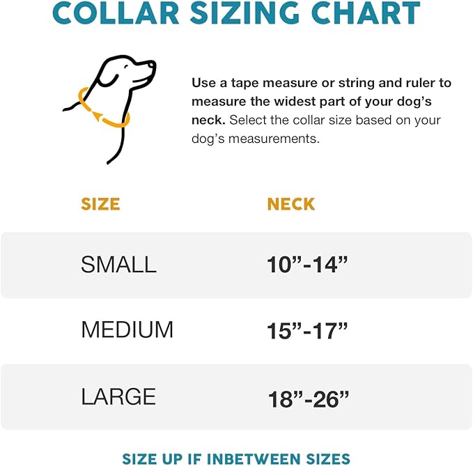 Embark Adventure Dog Collar – Stylish & Durable Nylon Collar for Medium Dogs,Comfortable & Adjustable Pet Collar for Medium Sized Dog with Strong Buckles