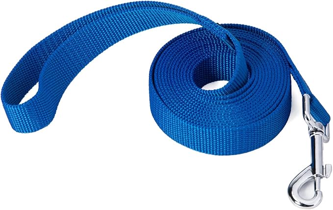Siumouhoi Strong Durable Nylon Dog Training Leash, 1 Inch Wide Traction Rope, 6 ft 10ft 15ft Long, for Small and Medium Dog (Blue, 10 Feet)