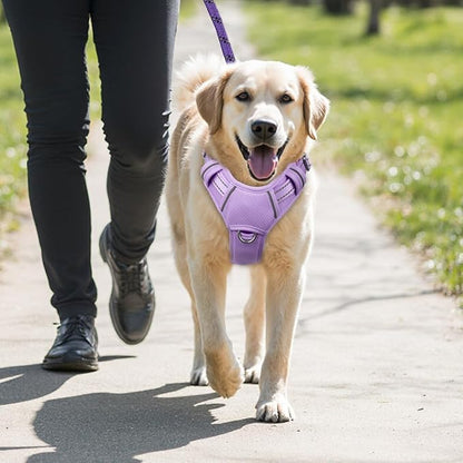 BARKBAY No Pull Dog Harness Large Reflective Dog Harness with Front Clip and Easy Control Handle for Walking Training Running with ID tag Pocket(Violet Purple,M)