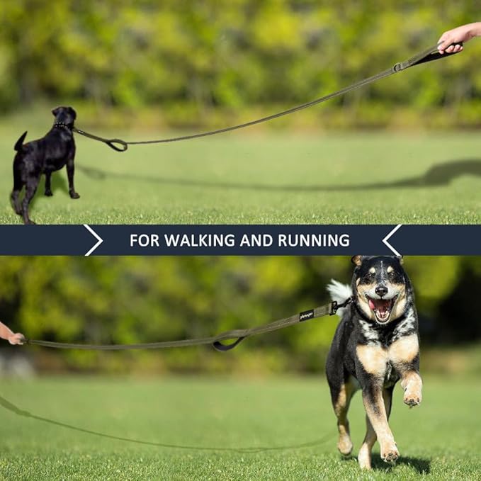 Plutus Pet Double Handle Dog Leash 4ft, Heavy Duty, Reflective Dual Handle Dog Leash for Safety Training, for Medium Large Dogs,2 Handle Leads, Ranger Green