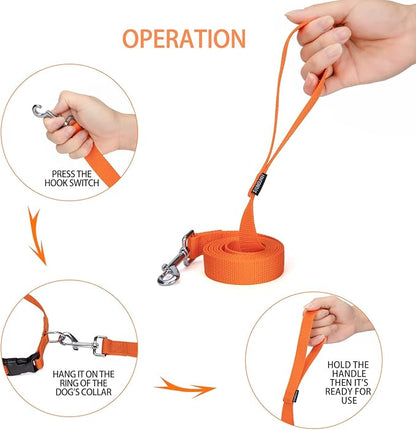 Siumouhoi Strong Durable 6ft Nylon Dog Training Leash, 1 Inch Wide Traction Rope, for Small and Medium Dog (Orange, 6 Feet)