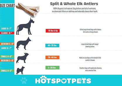 hotspot pets Grade A, Split Elk Antlers for Large Dogs X-Large 8+ Inches- Premium Elk Antlers for Dogs 50+Lbs (2 Pack) Naturally Shed Antler Bone for Large Breed Aggressive Chewers -Sourced in USA