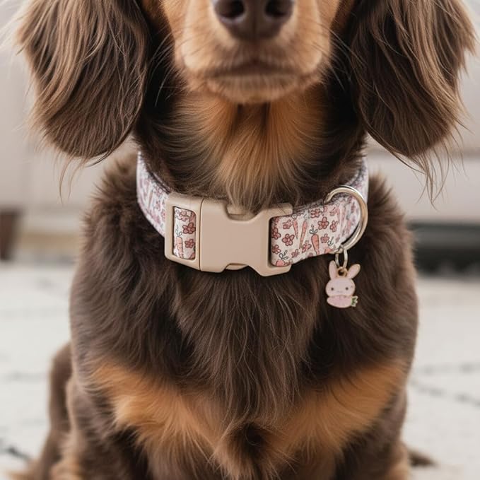 Small Dog Collar, Cute Spring Pattern for Small Dogs, Cute Dog Collar, S