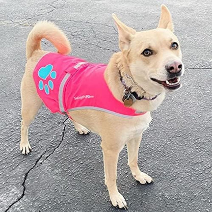 SafetyPUP XD Dog Reflective Vest – Hi-Vis Fluorescent Visibility That Helps to Safeguard Your Pet On/Off Leash in Urban & Rural Areas (Pink, Medium)