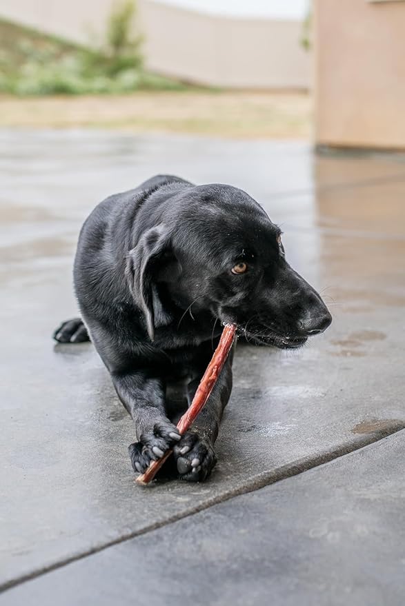GigaBite Single Ingredient All Natural Free Range Bully Treats and Chews - Bully Sticks/Bladder Sticks/Beef Esophagus by Best Pet Supplies - Esophagus Sticks (6 Inch), Pack of 18