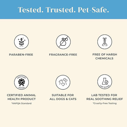 petora] PAWFECT Comfort Soothing Jelly Serum for Dogs & Cats | Fast Relief for Dry, Cracked Paws, Hot Spots & Itchy Skin | Certified KAPQA Animal Safety & Efficacy | Pump Dispenser Mess-Free