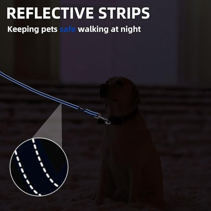 PUPTECK Reflective Dog Leash with Comfortable Padded Handle Durable Nylon Dog Lead for Small Medium and Large Dogs Cats Walking Running Training Outside, Blue