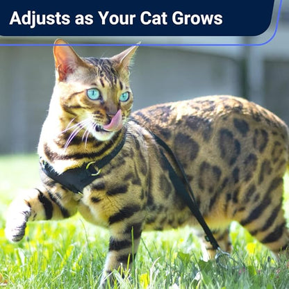 Houdini™ Escape Proof Cat Harness and Leash Set by OutdoorBengal for Walking Cats and Kittens (Vegan Leather, Large Cat)