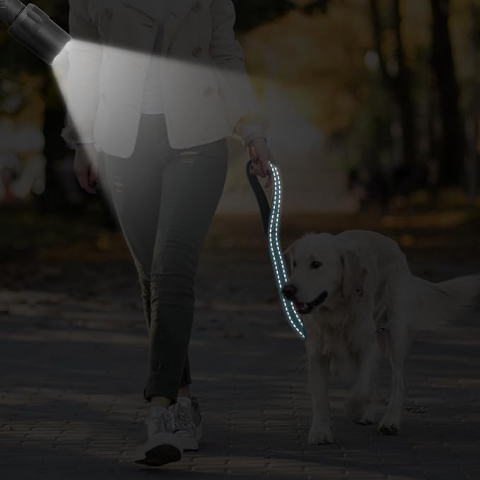 Dog Leash, Short Dog Leash, 24 Inch, Black