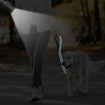 Dog Leash, Short Dog Leash, 24 Inch, Black