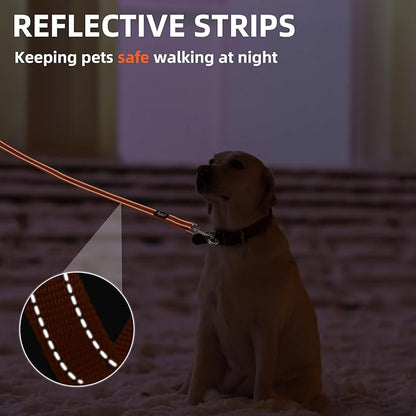 PUPTECK Reflective Dog Leash with Comfortable Padded Handle Durable Nylon Dog Lead for Small Medium and Large Dogs Cats Walking Running Training Outside, Orange